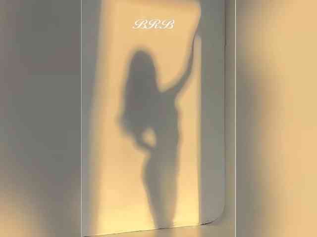 _LOTUS_ webcam