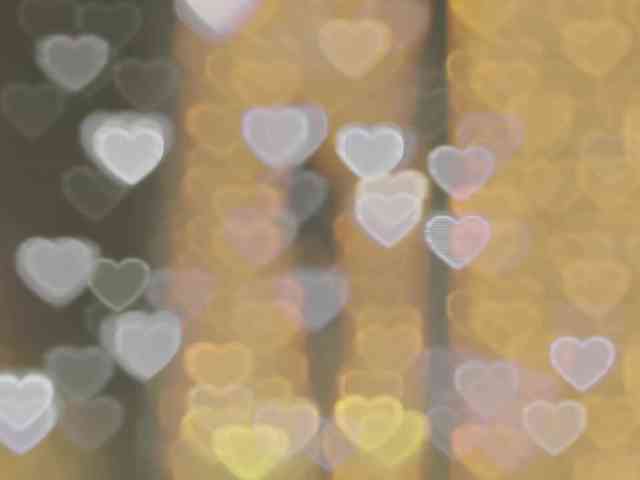 _LOTUS_ webcam