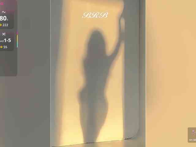 _LOTUS_ webcam