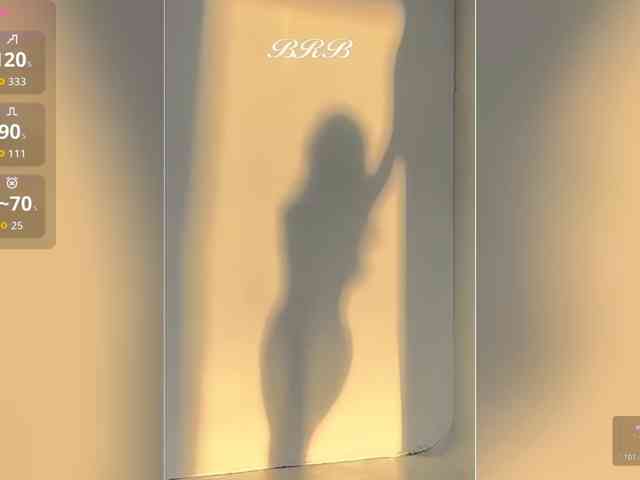 _LOTUS_ webcam