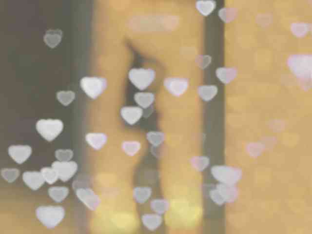 _LOTUS_ webcam