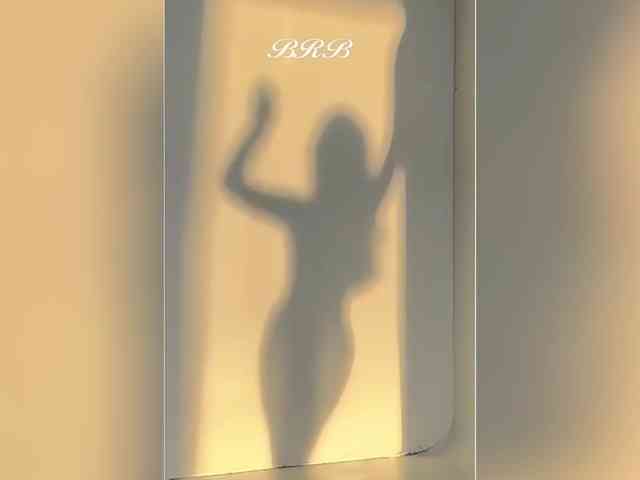 _LOTUS_ webcam
