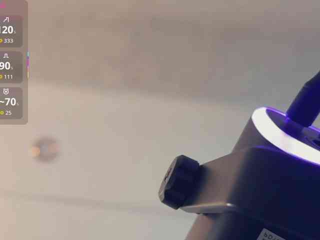_LOTUS_ webcam