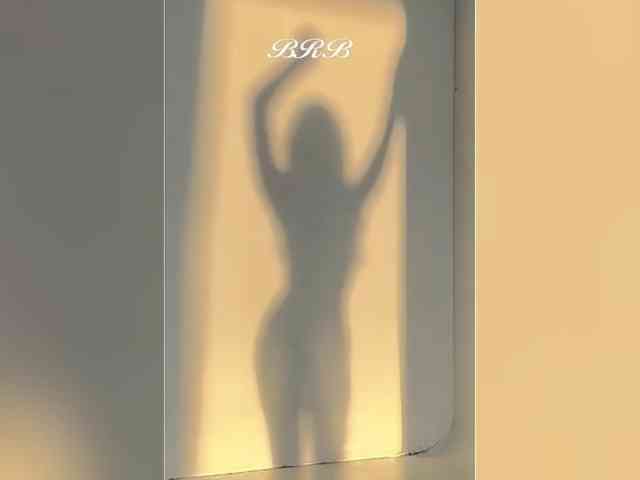_LOTUS_ webcam