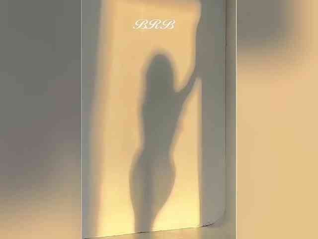 _LOTUS_ webcam