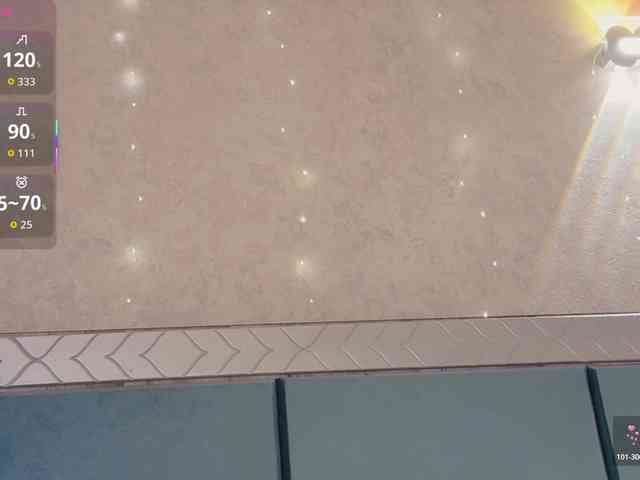 _LOTUS_ webcam