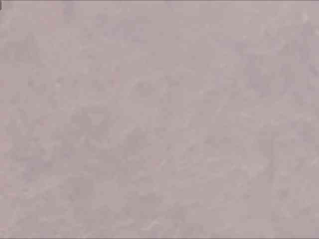 _LOTUS_ webcam