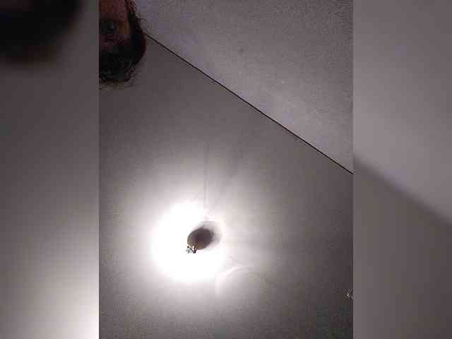 MonicaMilf webcam