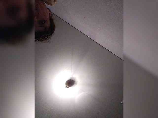 MonicaMilf webcam