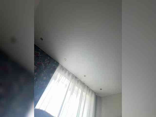 Havyer webcam