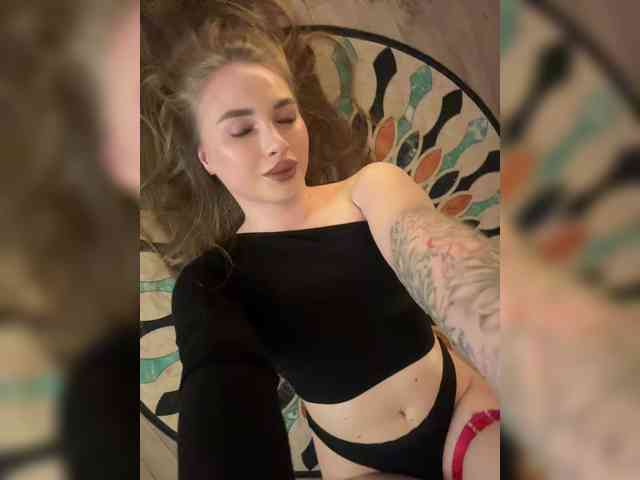 Модель: Havyer