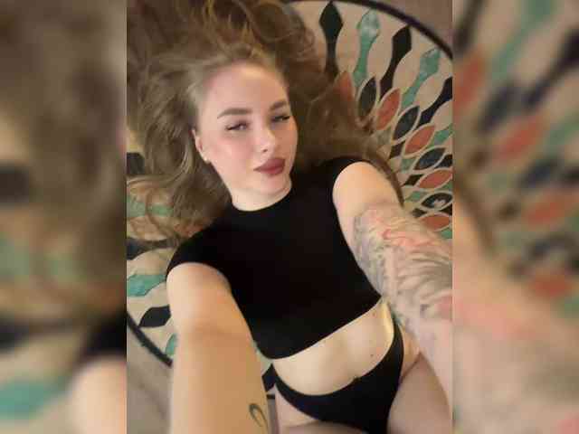 Havyer webcam