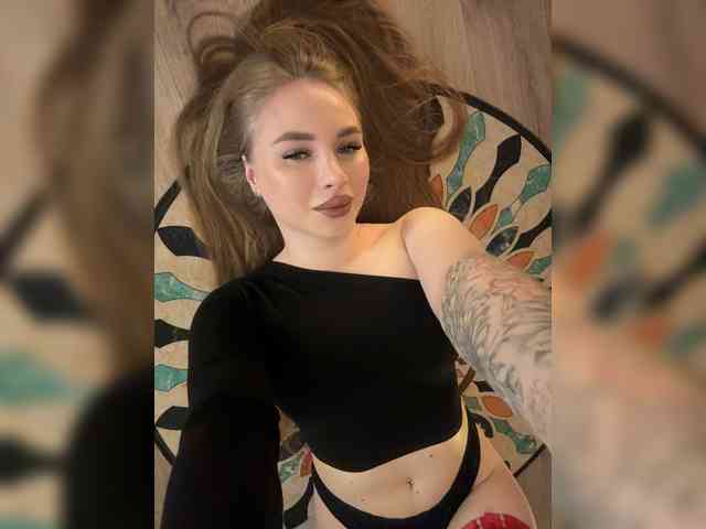 Модель: Havyer