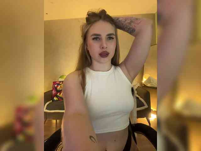 Havyer webcam