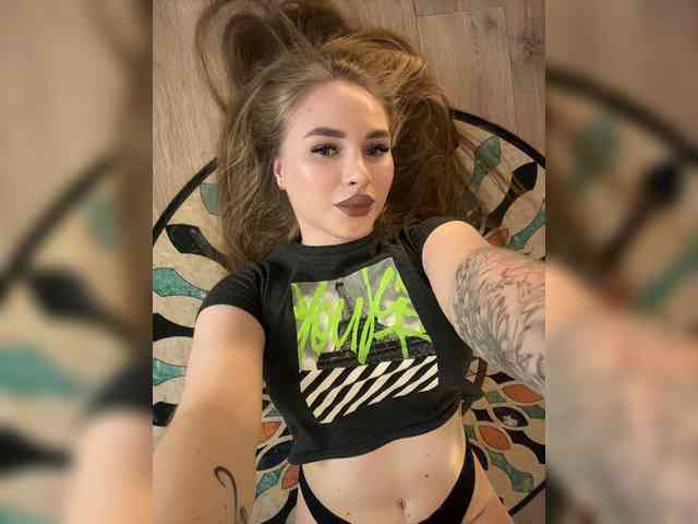 Модель: Havyer