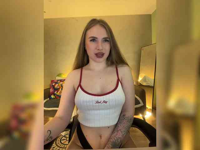Havyer webcam