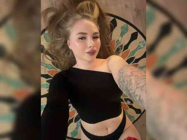 Модель: Havyer