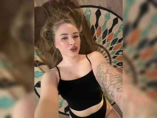 Havyer webcam