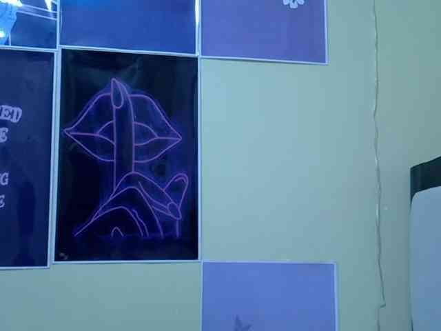 Magren webcam