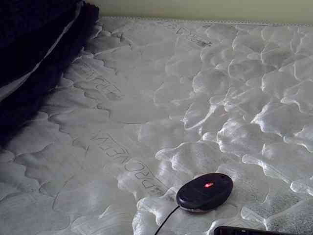 Magren webcam