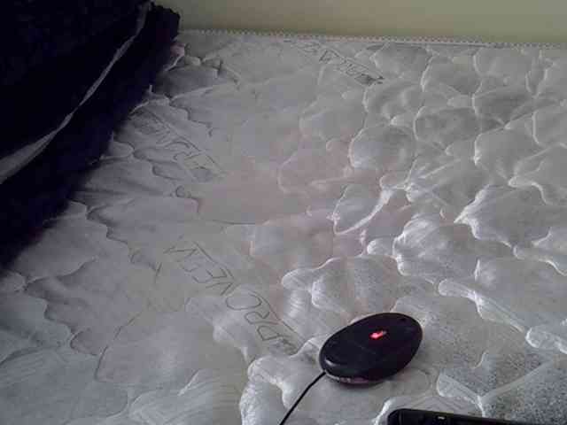 Magren webcam