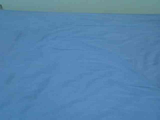 Magren webcam