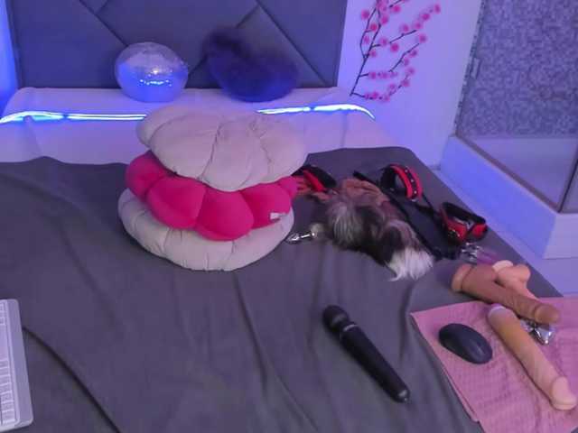 CassieEvans live cam on BongaCams