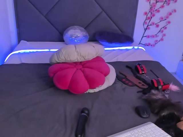 CassieEvans live cam on BongaCams