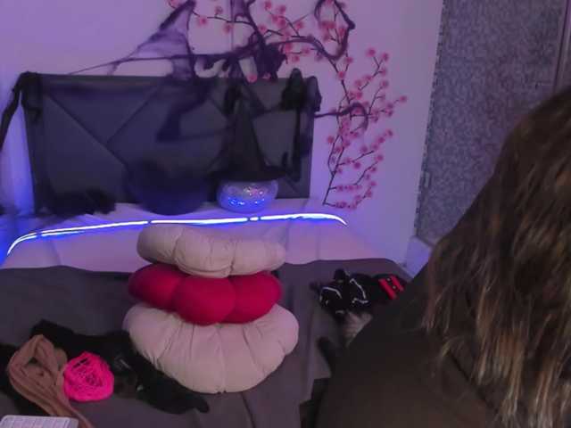 CassieEvans live cam on BongaCams