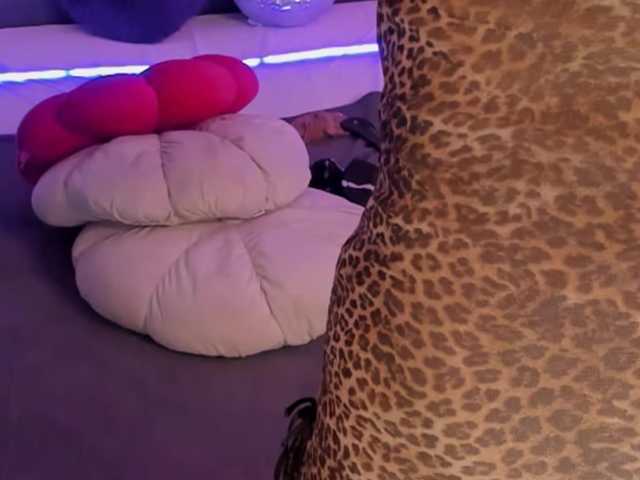 CassieEvans live cam on BongaCams