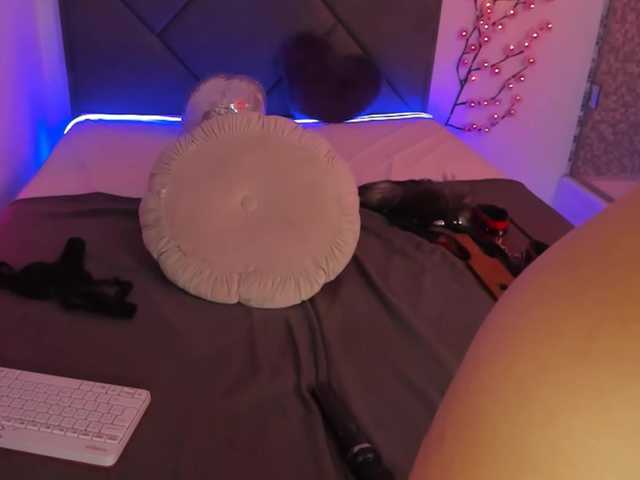CassieEvans live cam on BongaCams