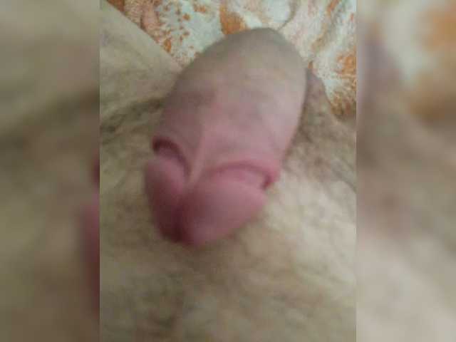 Koshka8a