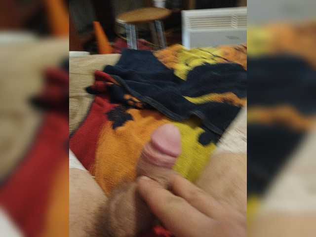 Koshka8a