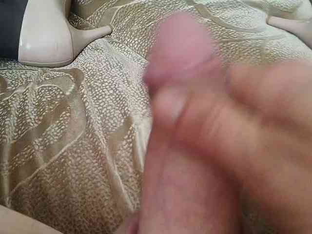 Koshka8a