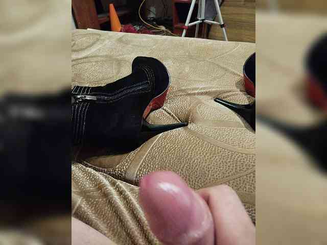 Koshka8a