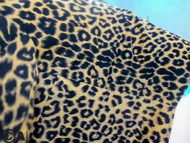 Sandra-Wi1son live cam on BongaCams