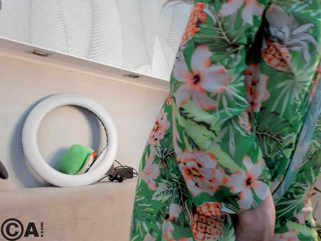 Sandra-Wi1son live cam on BongaCams