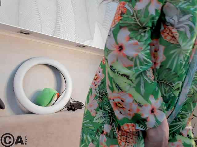 Sandra-Wi1son webcam