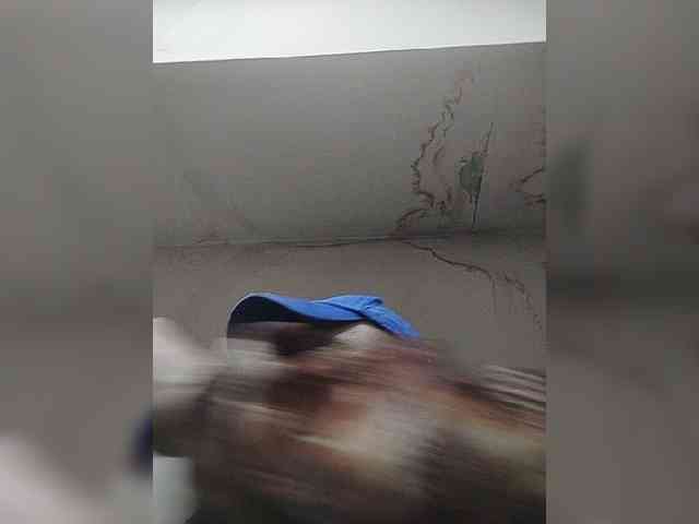 Milkam2