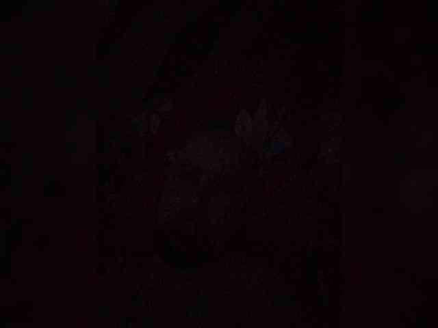 Milkam2