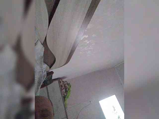 Milkam2