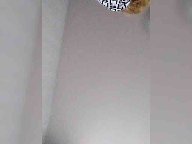Milkam2