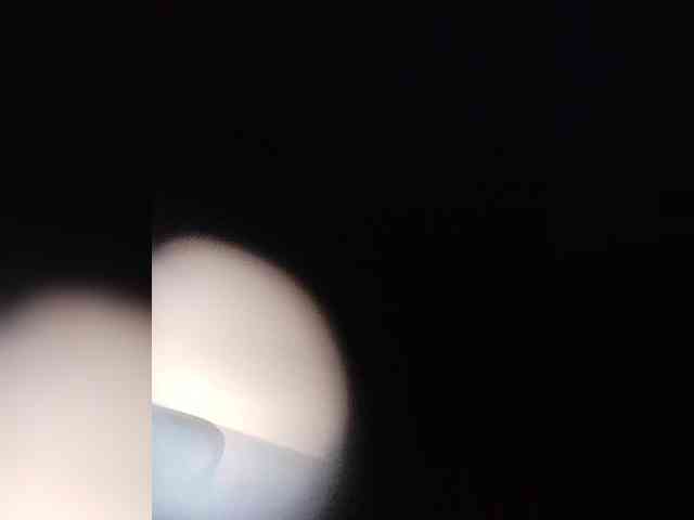 Milkam2