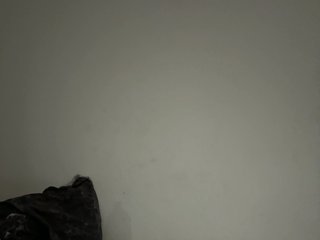 ANN_FOX