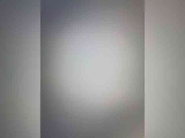 ANN_FOX webcam