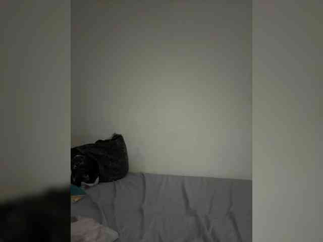 ANN_FOX webcam
