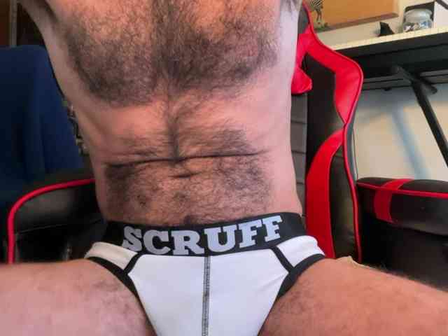 Pupscritch Pupscritch