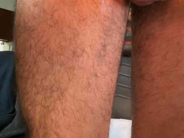 Pupscritch