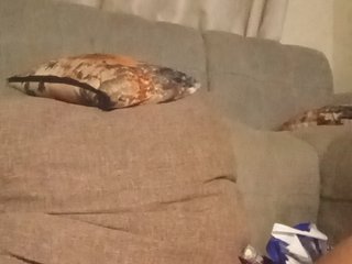 Mrsanaconda's Live Webcam