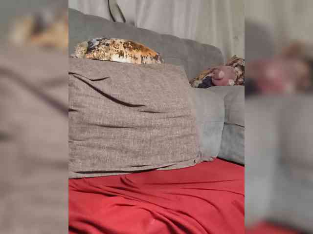 Mrsanaconda webcam